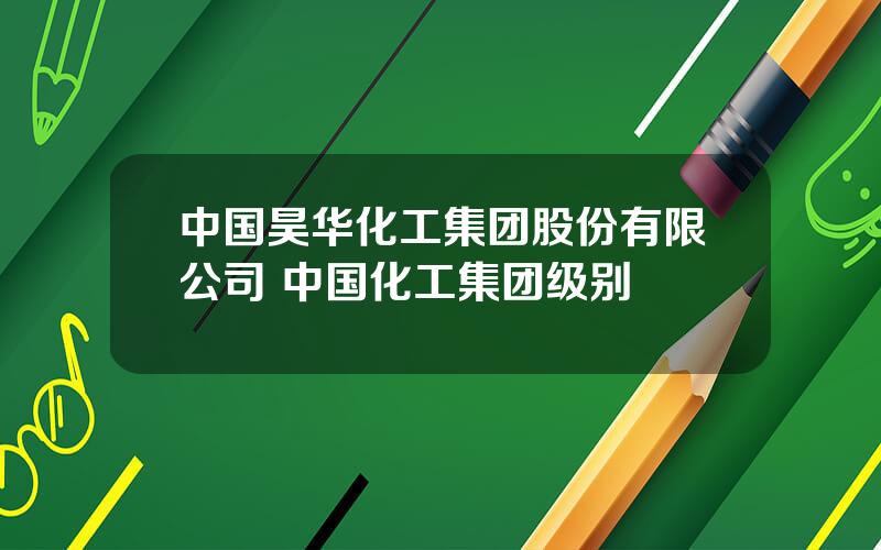 中国昊华化工集团股份有限公司 中国化工集团级别